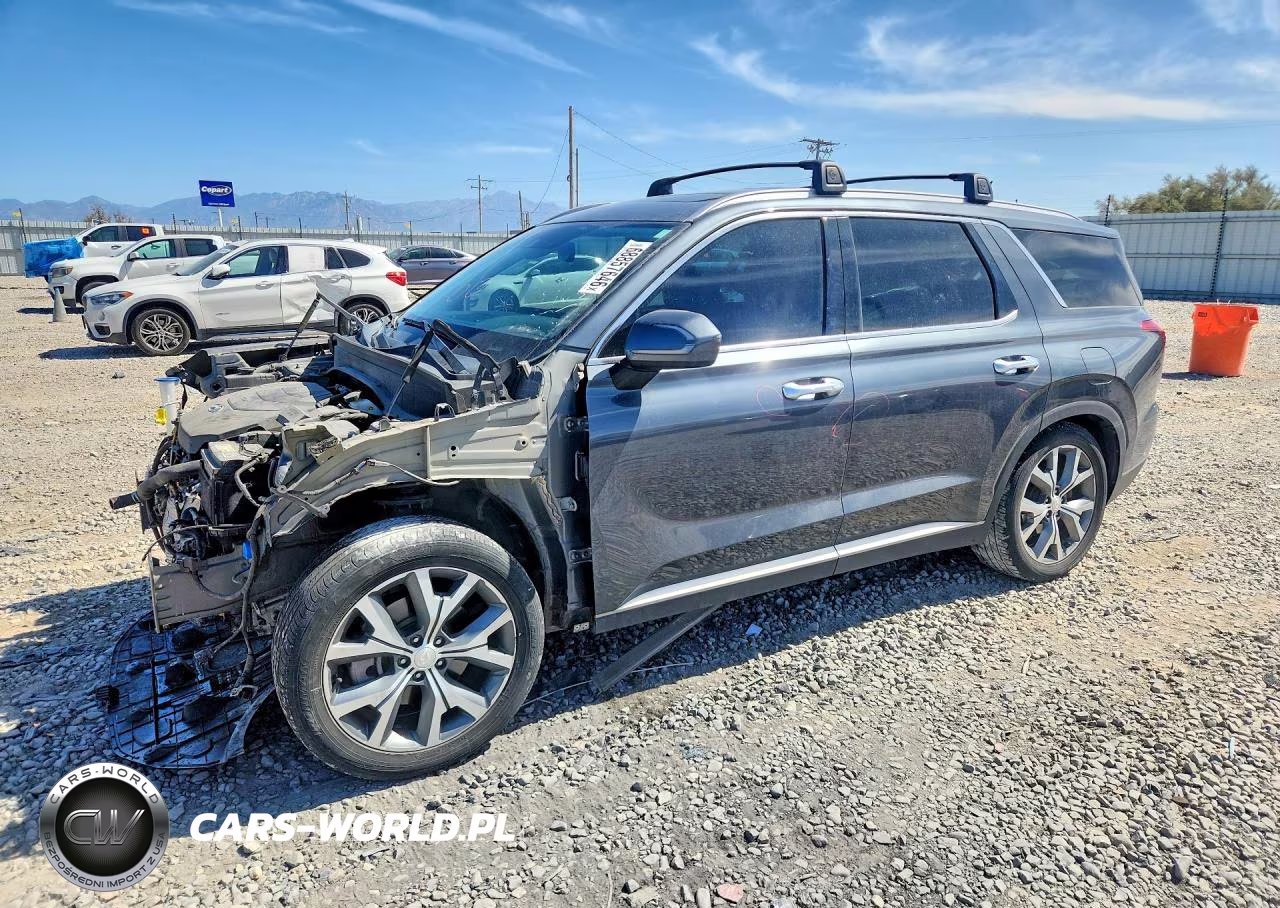 2020 Hyundai Palisade Sel VIN:KM8R4DHE1LU122488 - 1