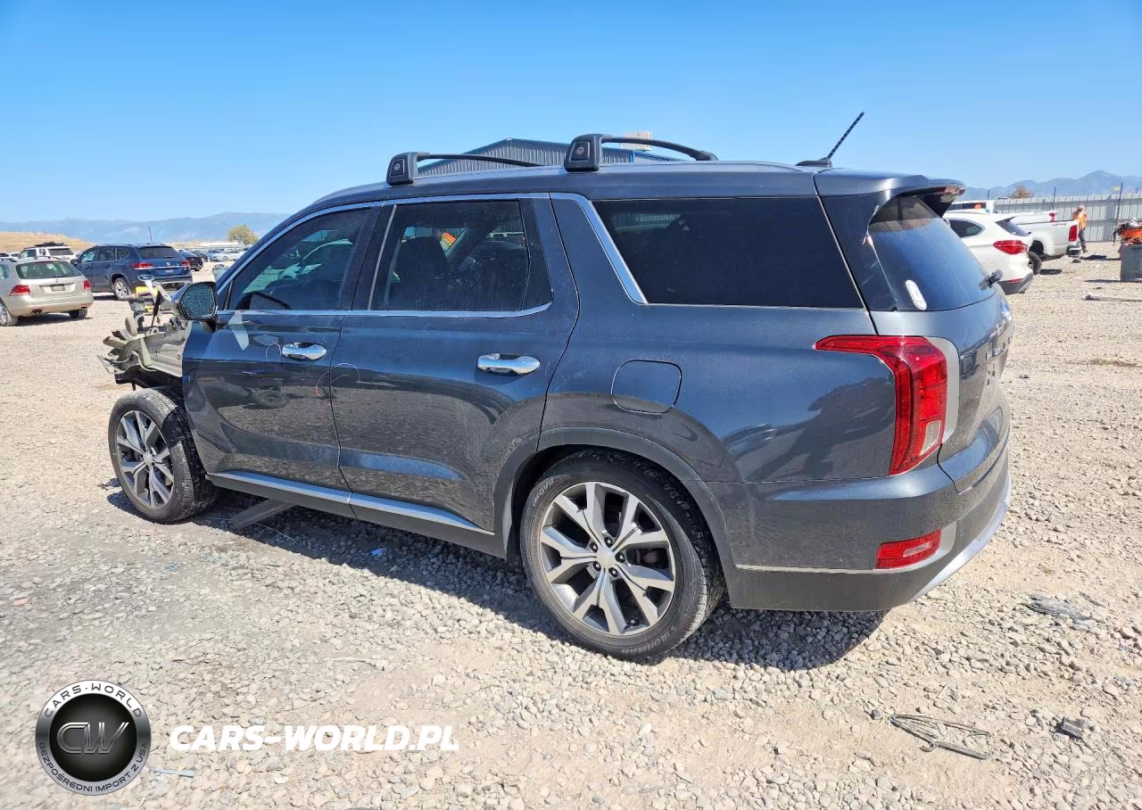 2020 Hyundai Palisade Sel VIN:KM8R4DHE1LU122488 - 2
