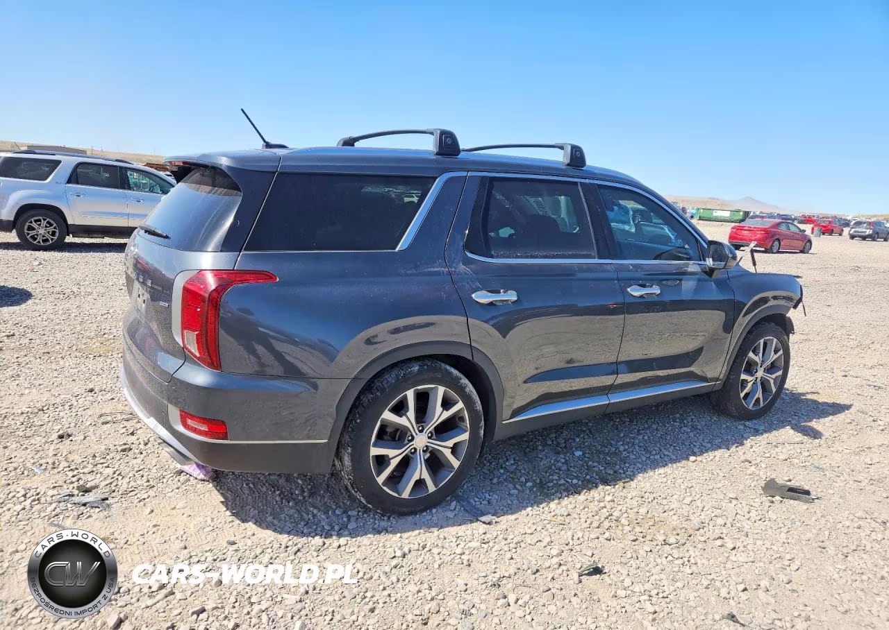 2020 Hyundai Palisade Sel VIN:KM8R4DHE1LU122488 - 3