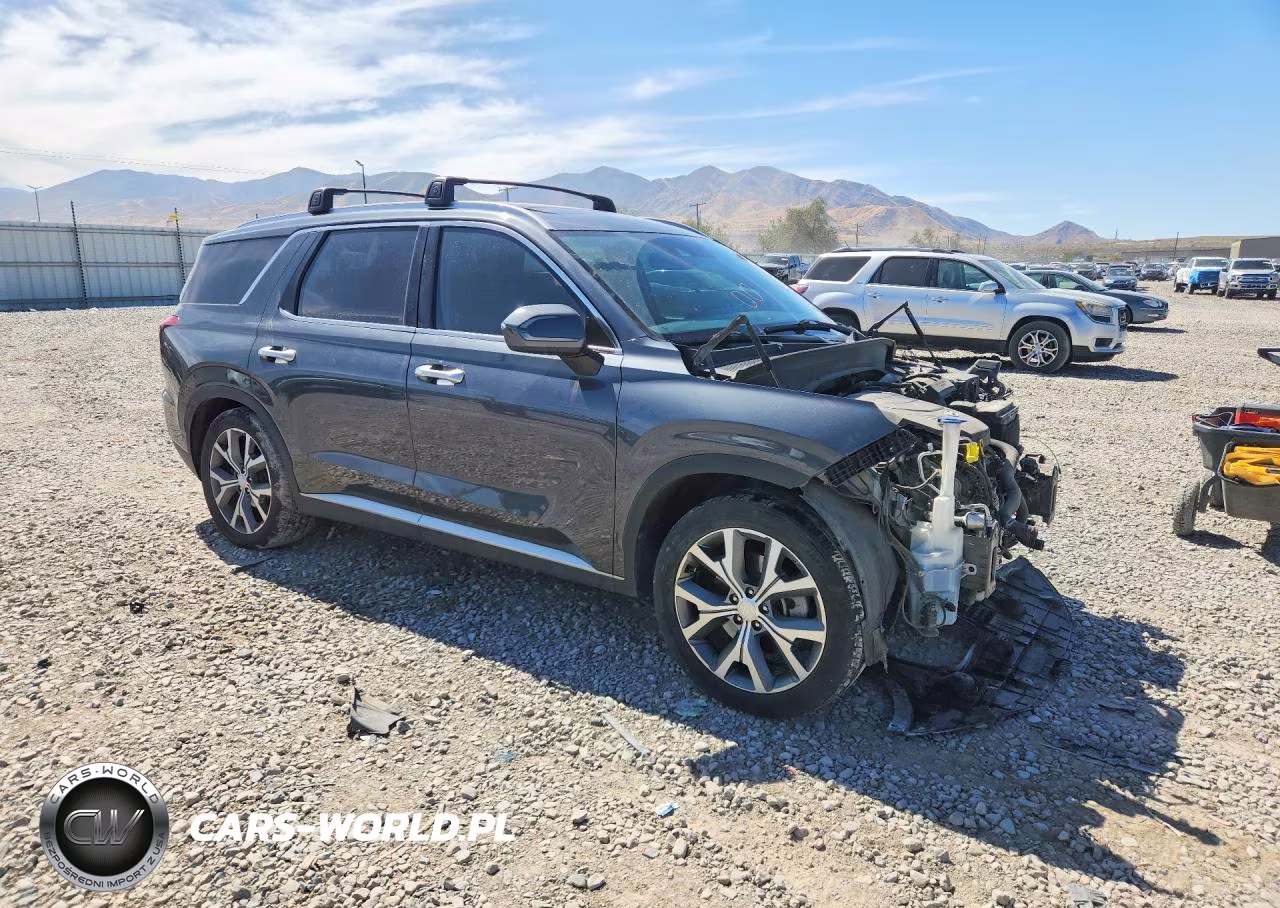 2020 Hyundai Palisade Sel VIN:KM8R4DHE1LU122488 - 4