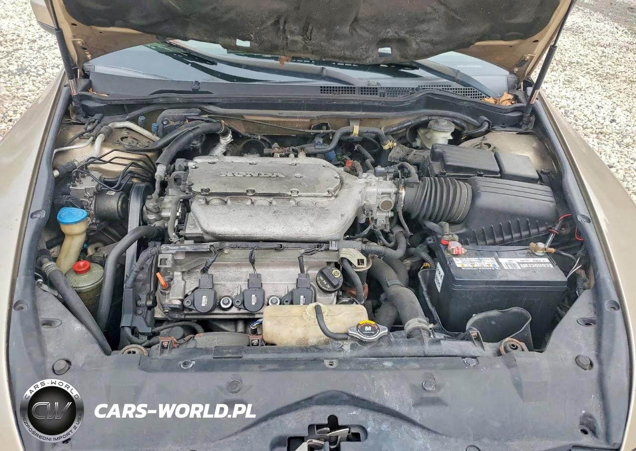 2006 Honda Accord Ex VIN:1HGCM665X6A004486 - 11