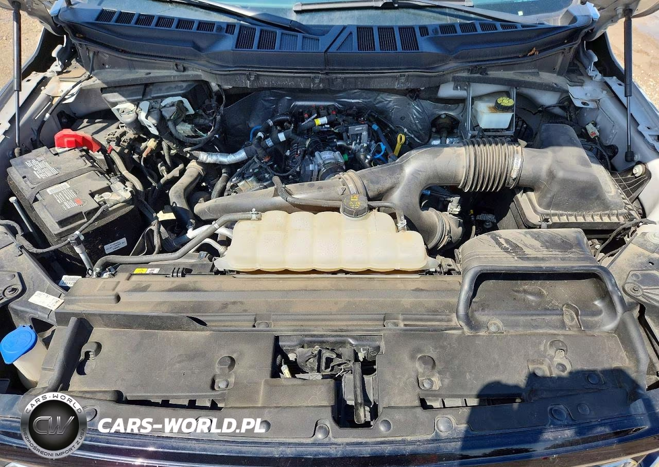 2024 Ford F150 Xlt VIN:1FTEW3KP5RKE08639 - 11