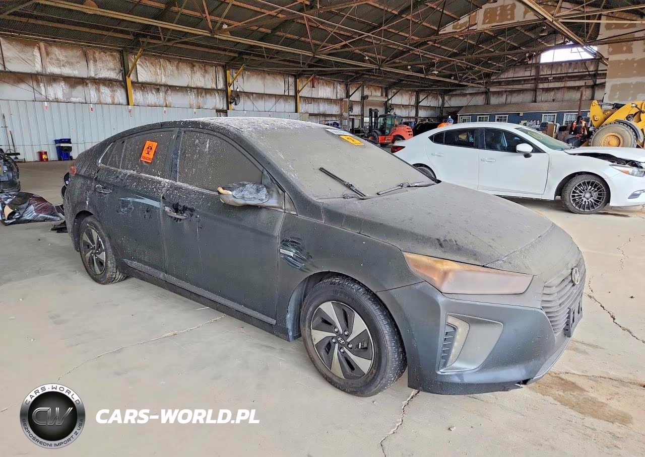 2018 Hyundai Ioniq Sel VIN:KMHC75LC7JU062772 - 4