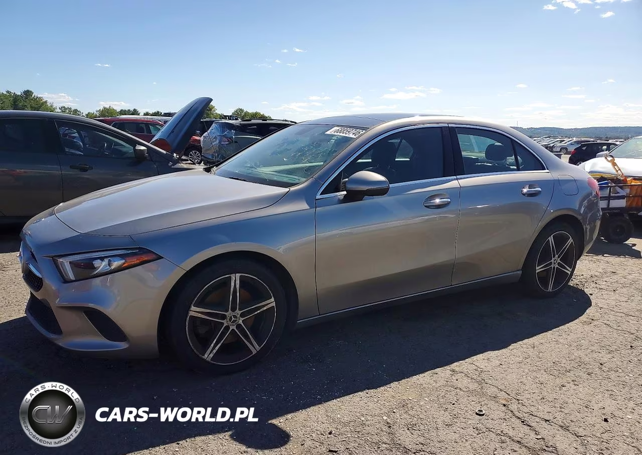 2019 Mercedes-Benz A 220 4Matic VIN:WDD3G4FB8KW019653 - 1