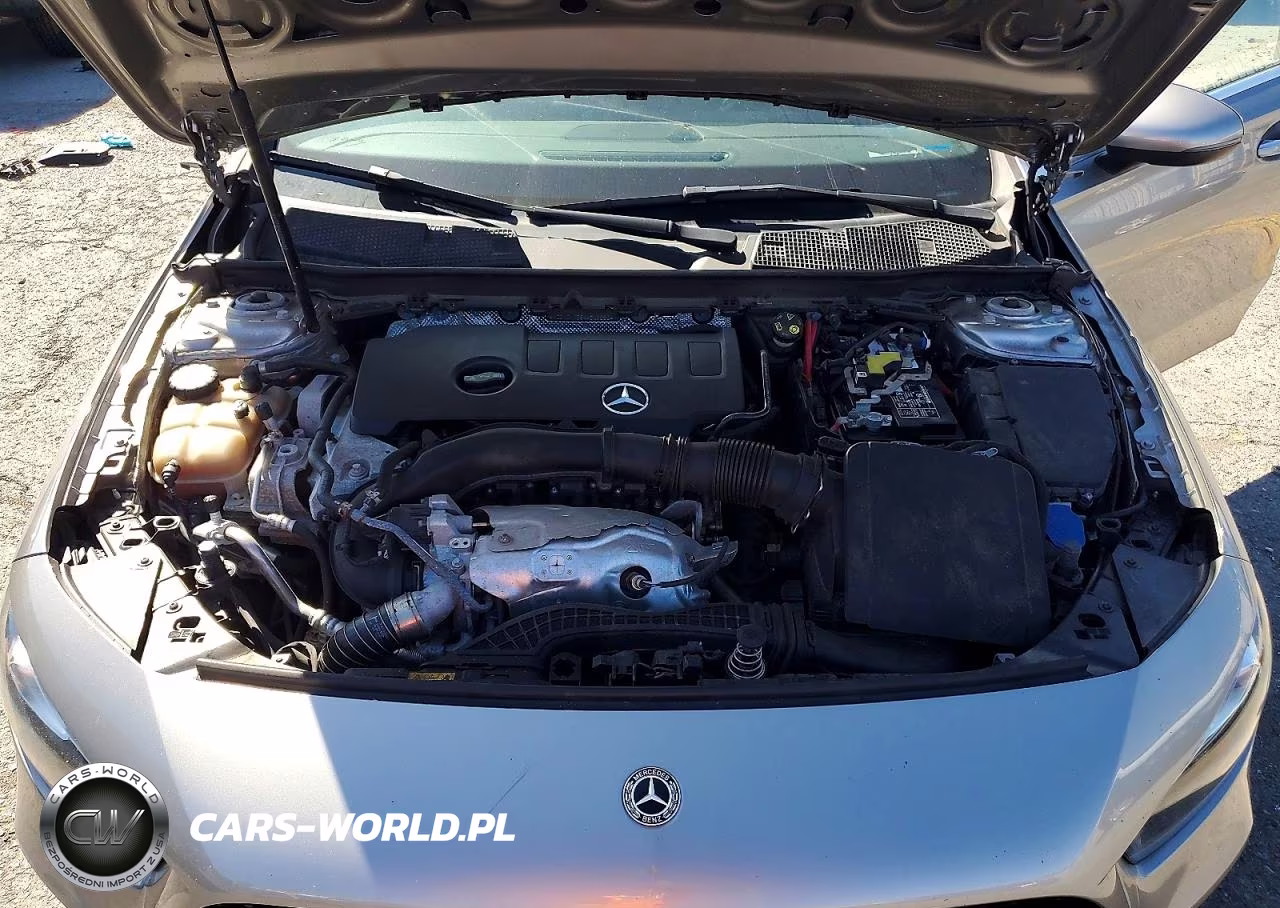 2019 Mercedes-Benz A 220 4Matic VIN:WDD3G4FB8KW019653 - 11