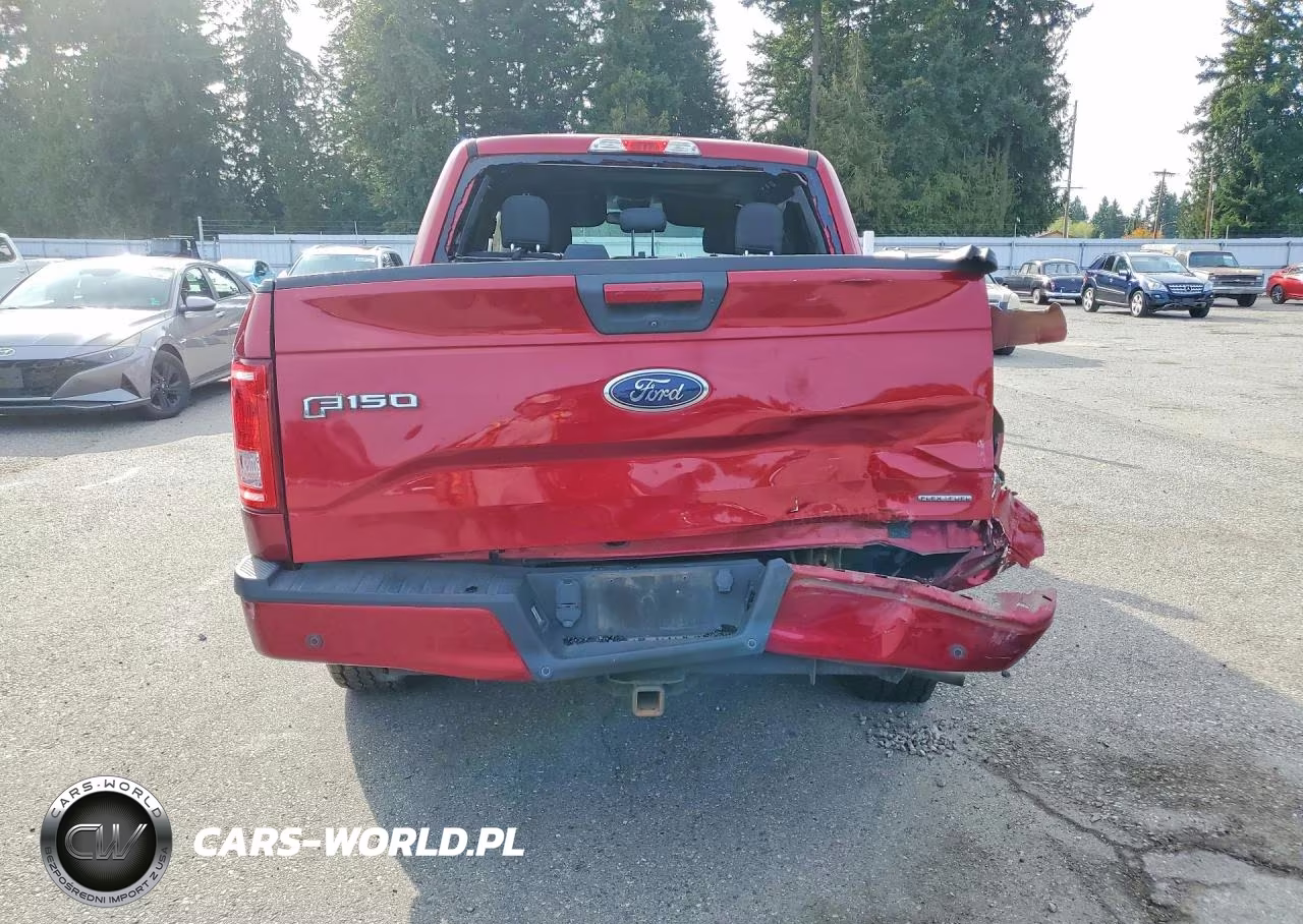 2016 Ford F150 Supercrew VIN:1FTEW1EF6GKE51603 - 6