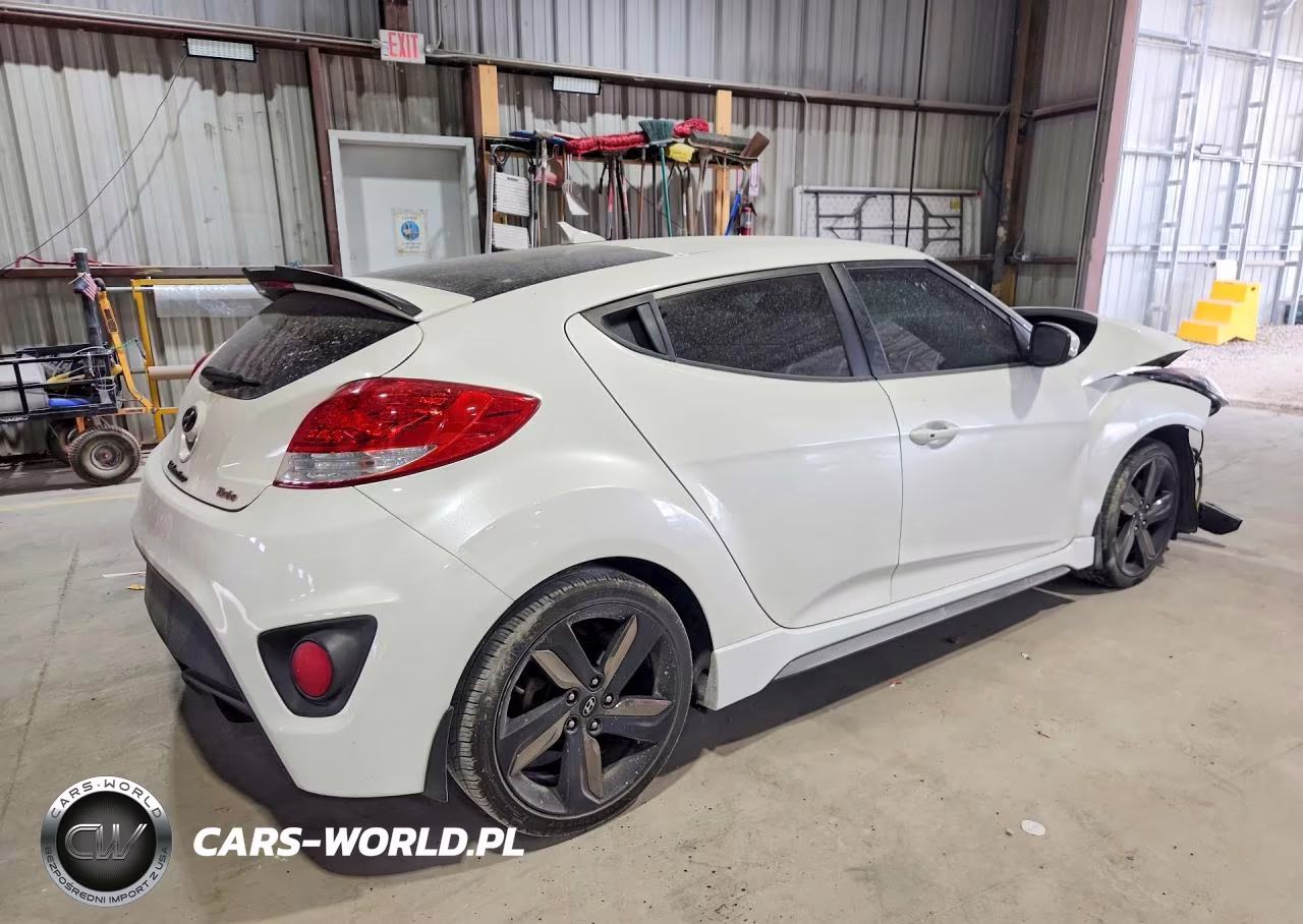 2015 Hyundai Veloster Turbo VIN:KMHTC6AE1FU239426 - 3