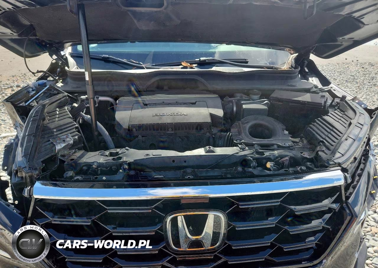 2024 Honda Pilot Exl VIN:5FNYG2H54RB008126 - 12