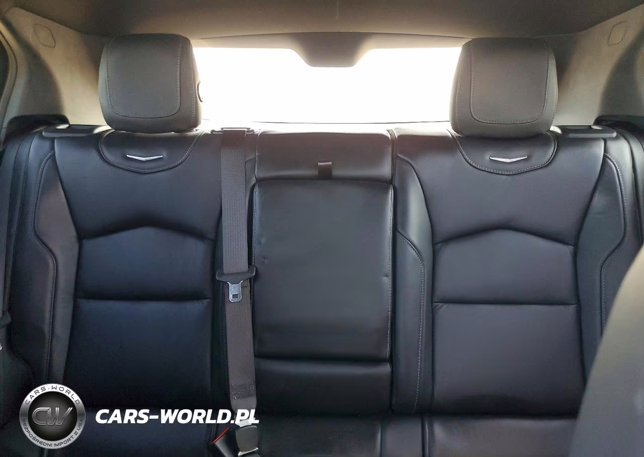 2020 Cadillac Xt4 Premium Luxury VIN:1GYFZCR49LF106689 - 10