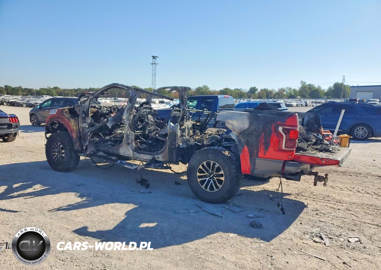 2020 Ford F150 Raptor VIN:1FTFW1RGXLFB33820 - 2