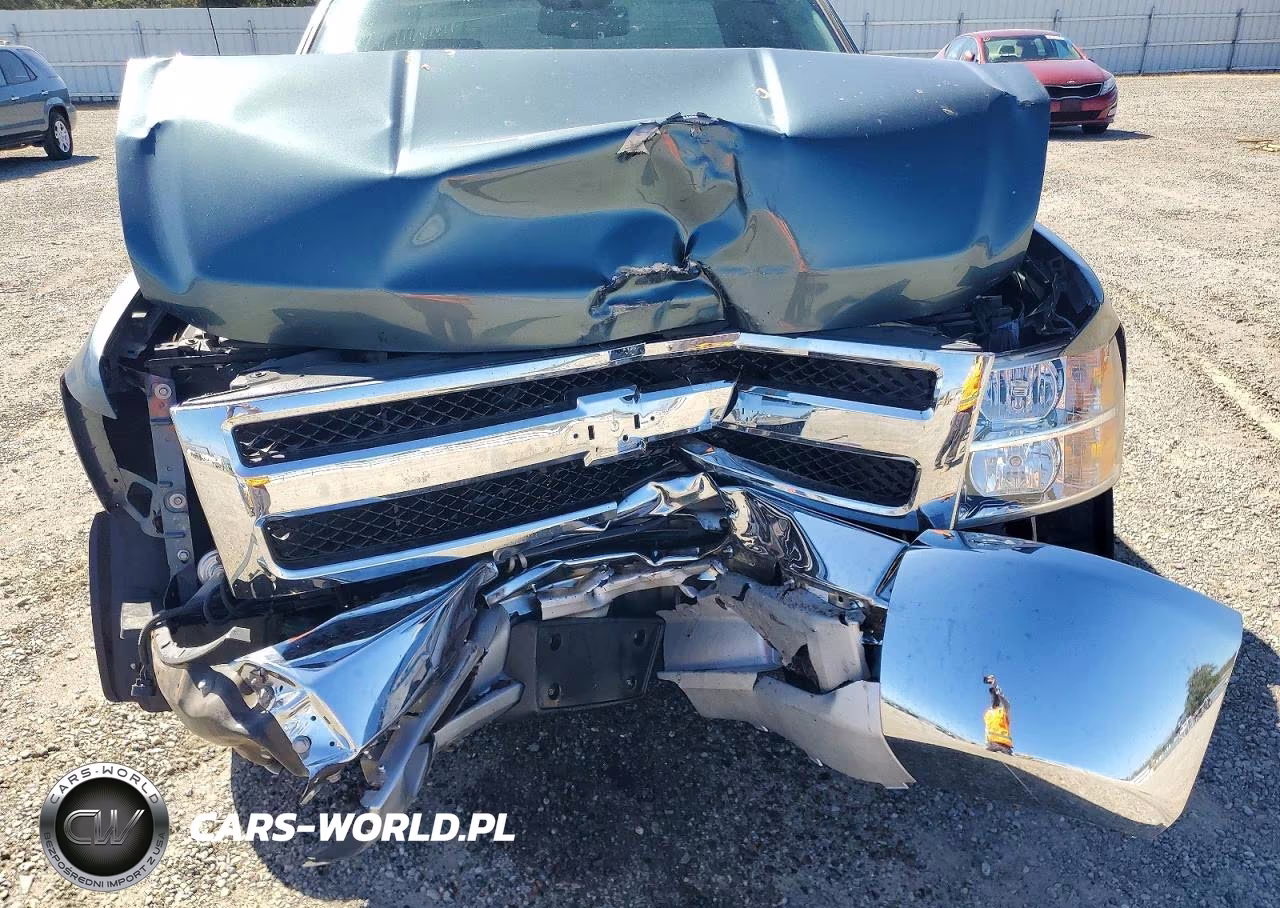 2013 Chevrolet Silverado C1500 Lt VIN:1GCRCSE04DZ330485 - 11