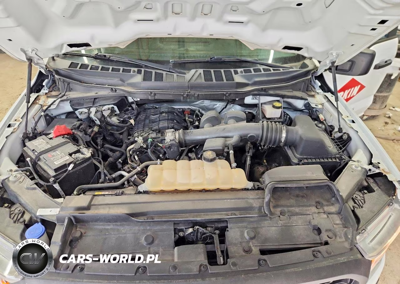 2021 Ford F150 VIN:1FTMF1CB2MKD85963 - 11