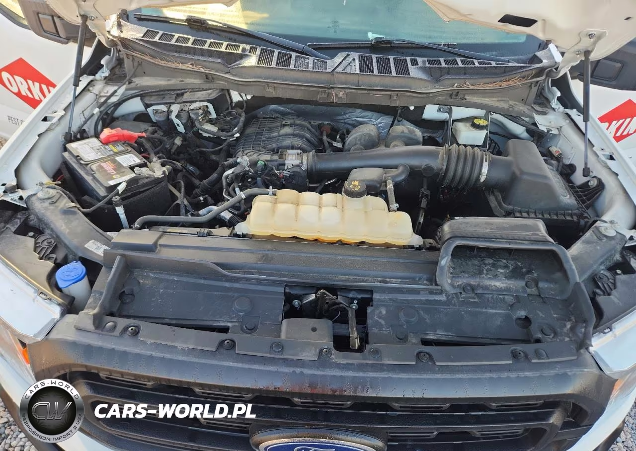 2021 Ford F150 VIN:1FTMF1CB8MKE07996 - 11