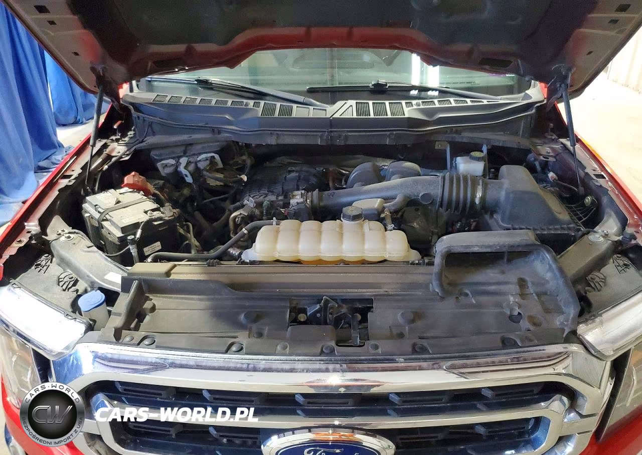 2023 Ford F150 Supercrew VIN:1FTEW1EB1PKE16318 - 11