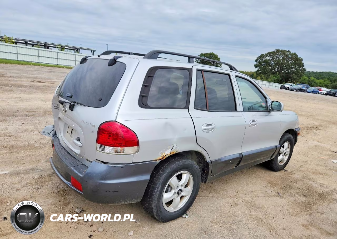 2005 Hyundai Santa Fe Gls VIN:KM8SC73DX5U003779 - 3