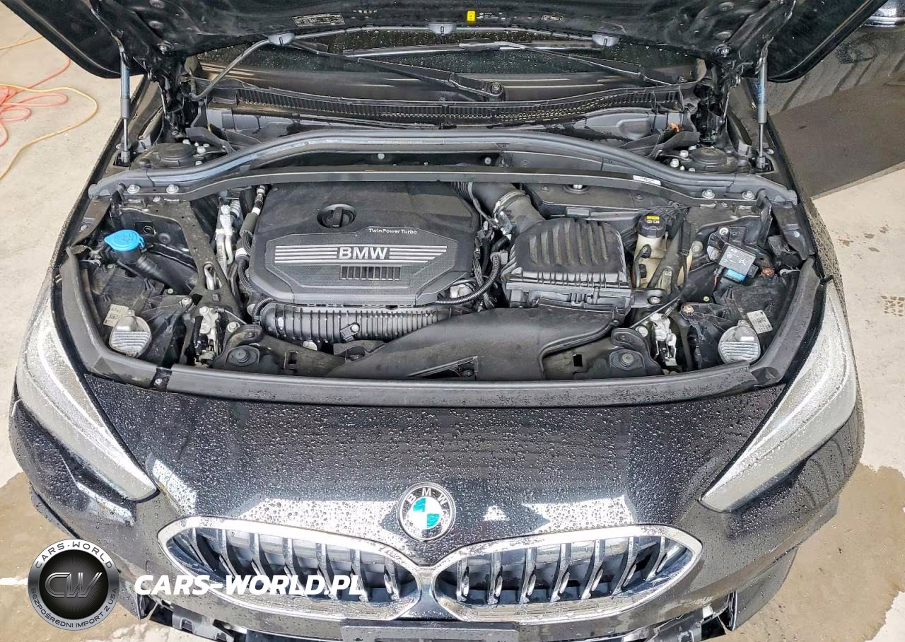 2021 BMW 228Xi VIN:WBA73AK05M7H03194 - 11