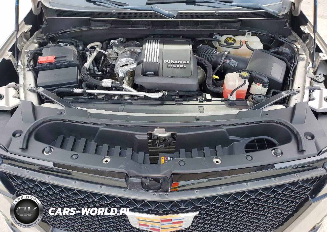 2022 Cadillac Escalade Sport Platinum VIN:1GYS3GKT5NR171405 - 12