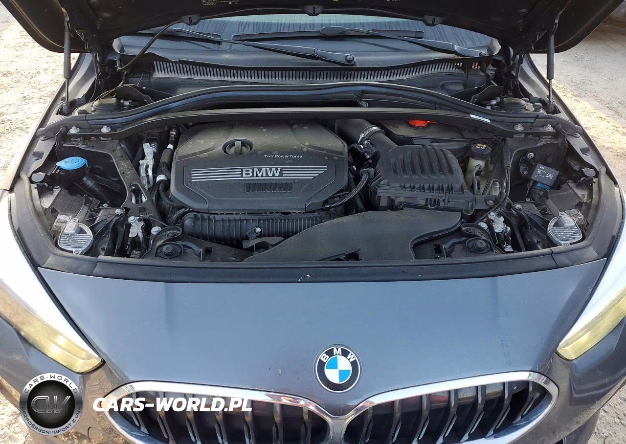 2020 BMW 228Xi VIN:WBA73AK05L7F60164 - 11