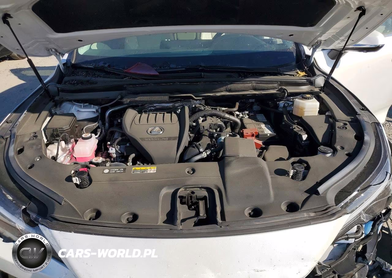 2024 Lexus Rx 350 Premium VIN:2T2BAMCA5RC087281 - 12