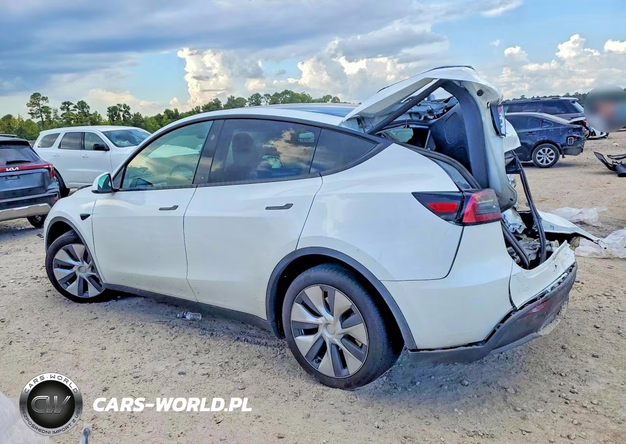 2024 Tesla Model Y VIN:7SAYGDEEXRA251973 - 2
