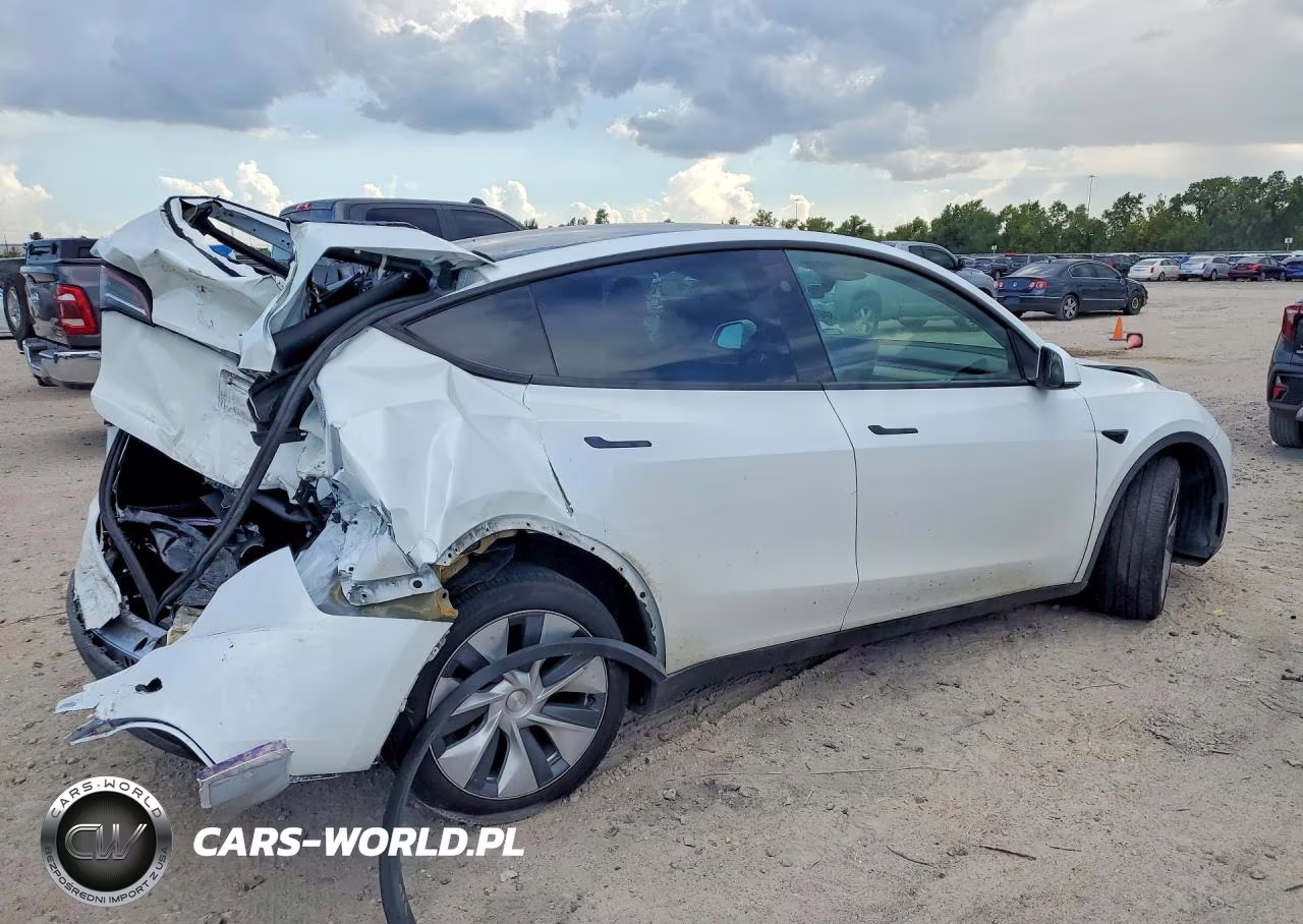 2024 Tesla Model Y VIN:7SAYGDEEXRA251973 - 3