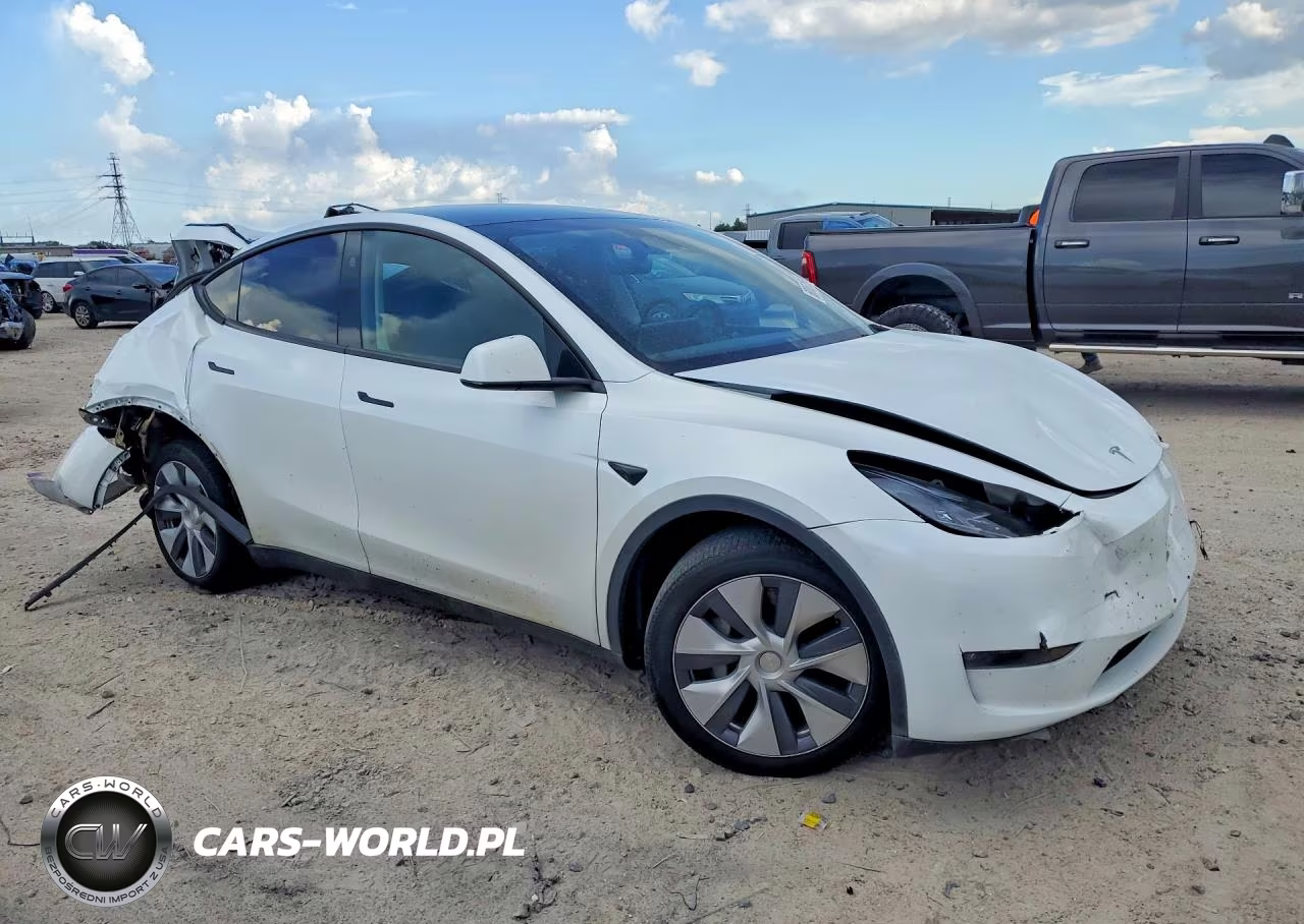2024 Tesla Model Y VIN:7SAYGDEEXRA251973 - 4