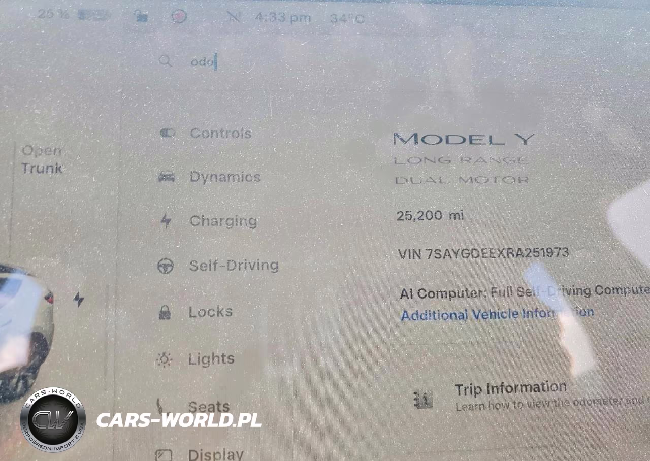 2024 Tesla Model Y VIN:7SAYGDEEXRA251973 - 9