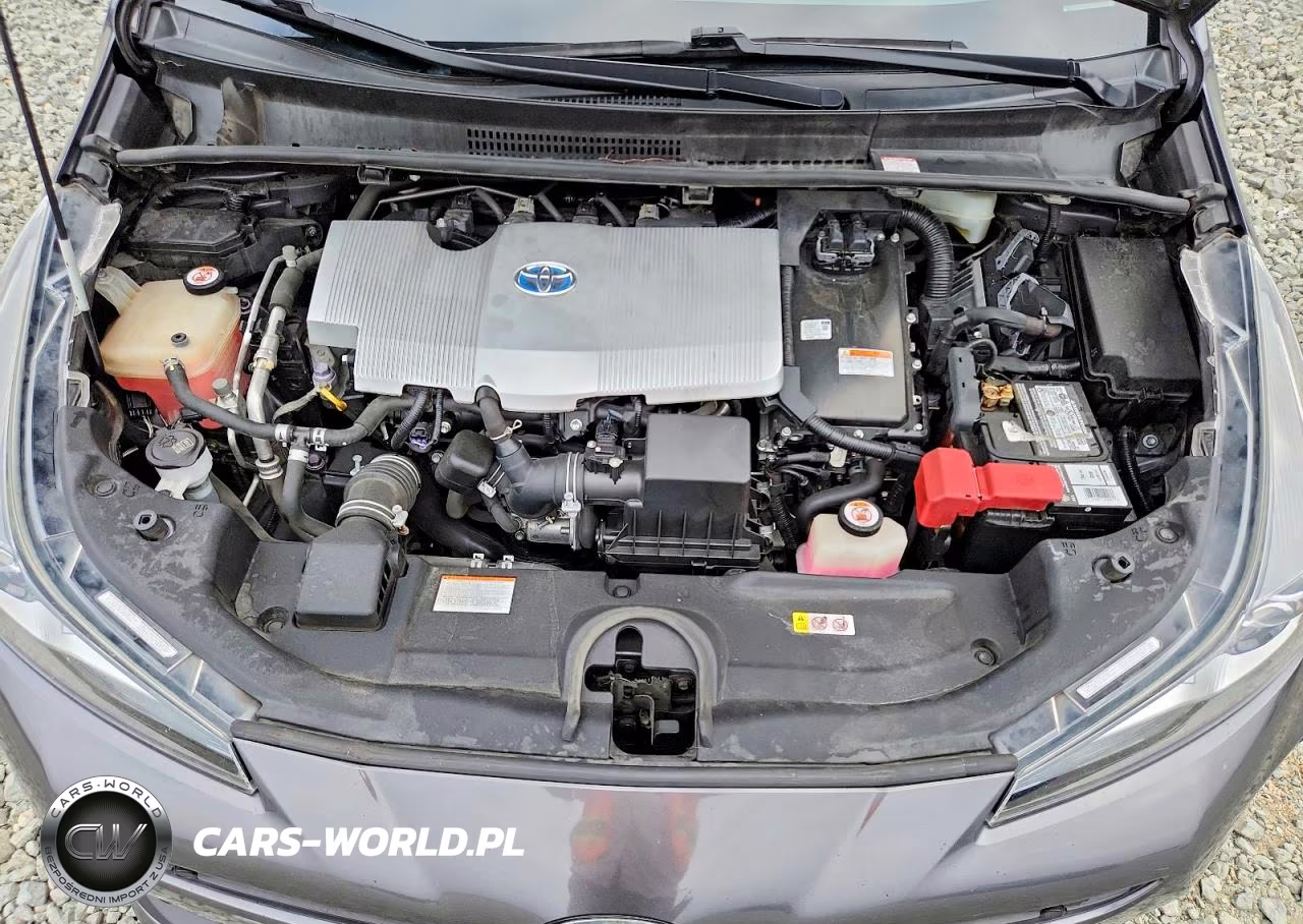 2019 Toyota Prius I VIN:JTDKARFU0K3090059 - 11