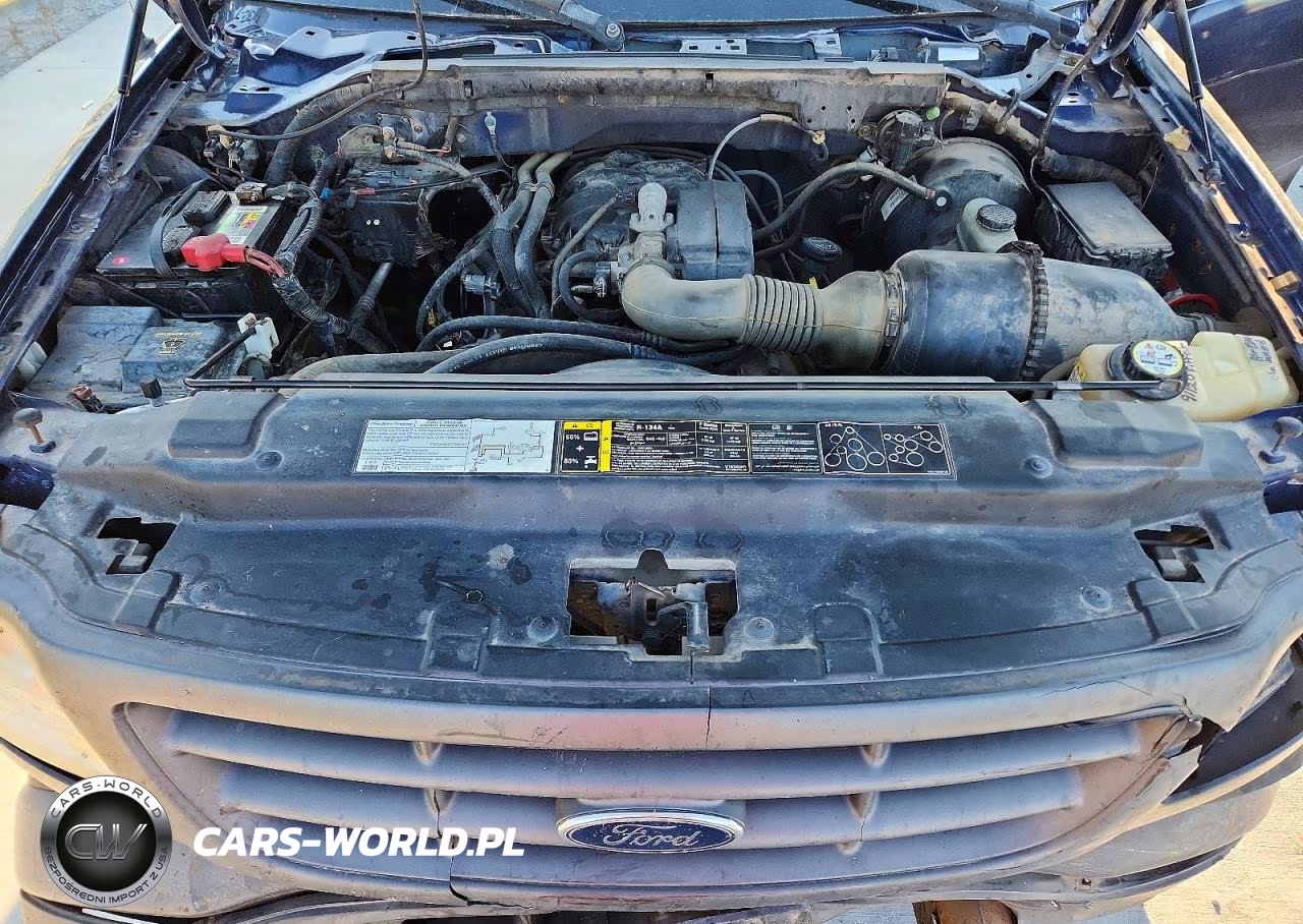 2004 Ford F-150 Heritage Classic VIN:2FTRF18234CA68941 - 11