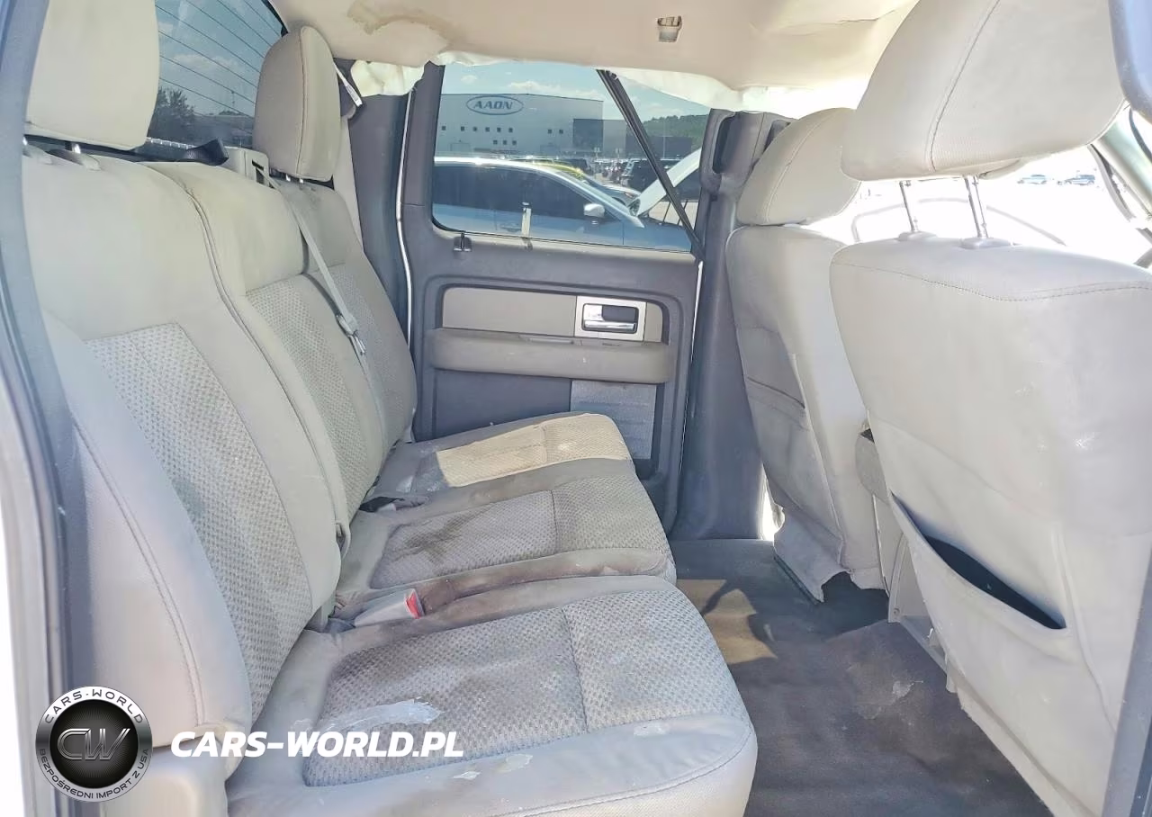 2010 Ford F150 Supercrew VIN:1FTEW1E87AKE07621 - 10