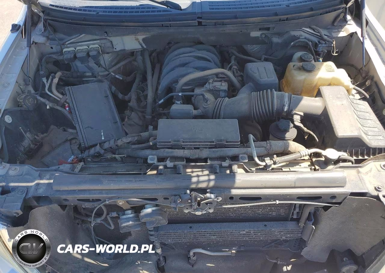 2010 Ford F150 Supercrew VIN:1FTEW1E87AKE07621 - 11
