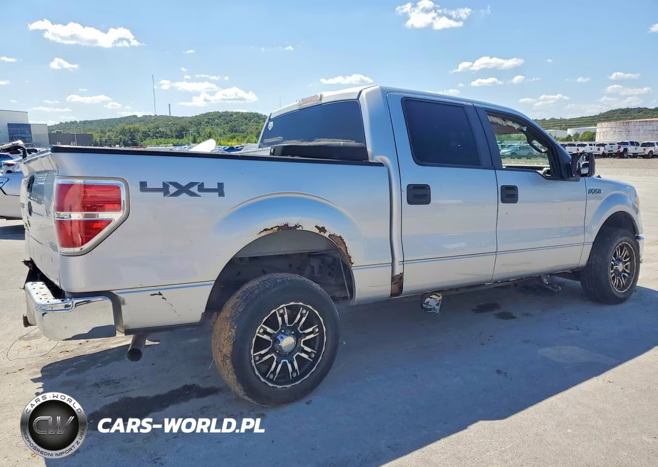 2010 Ford F150 Supercrew VIN:1FTEW1E87AKE07621 - 3