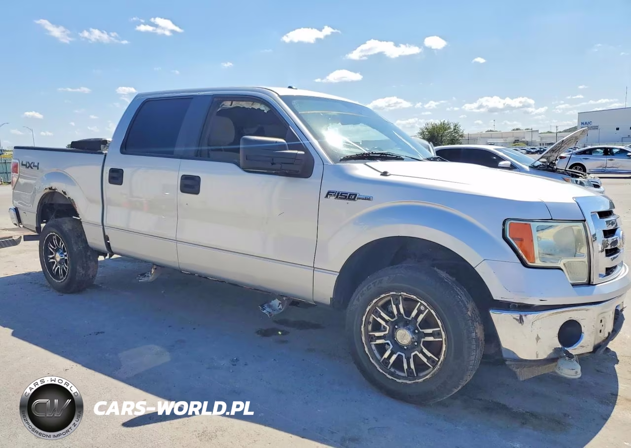2010 Ford F150 Supercrew VIN:1FTEW1E87AKE07621 - 4