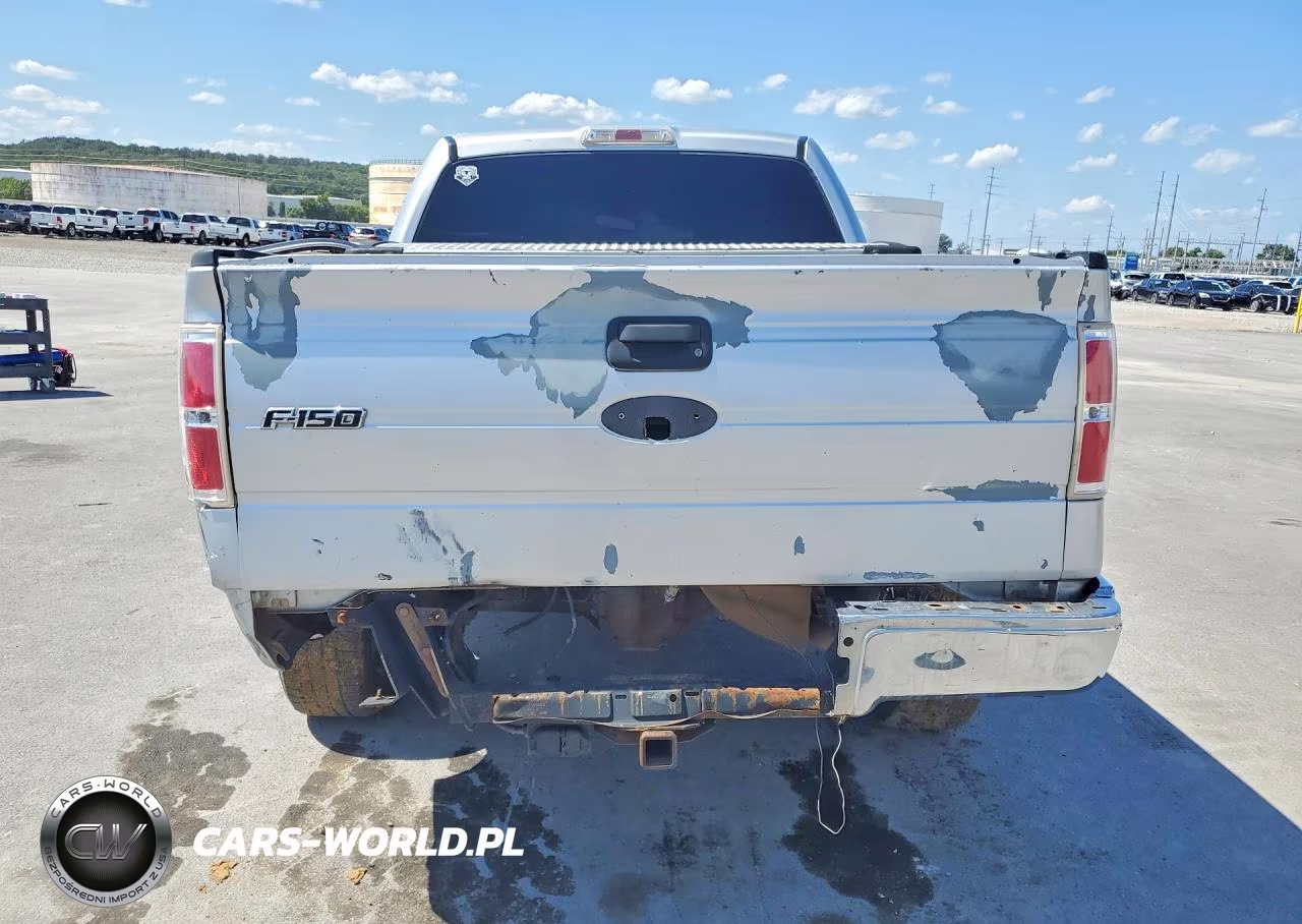 2010 Ford F150 Supercrew VIN:1FTEW1E87AKE07621 - 6