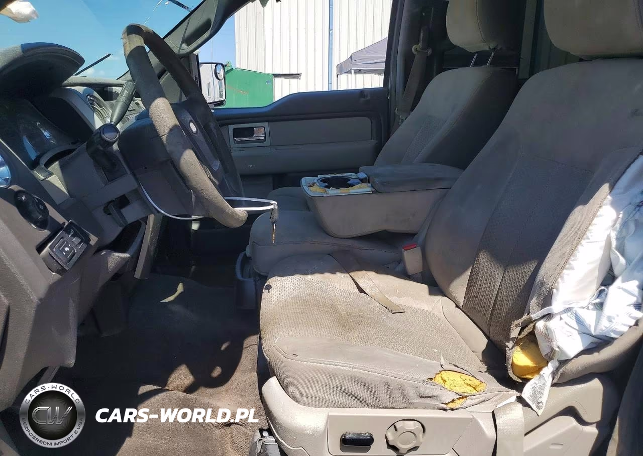 2010 Ford F150 Supercrew VIN:1FTEW1E87AKE07621 - 7
