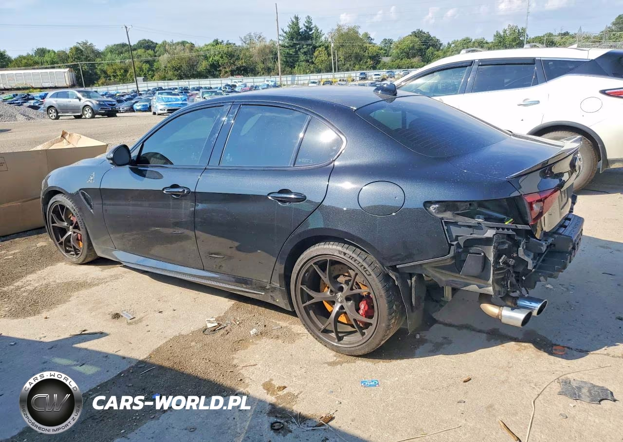 2020 Alfa Romeo Giulia Quadrifoglio VIN:ZARFAMEVXL7641094 - 2