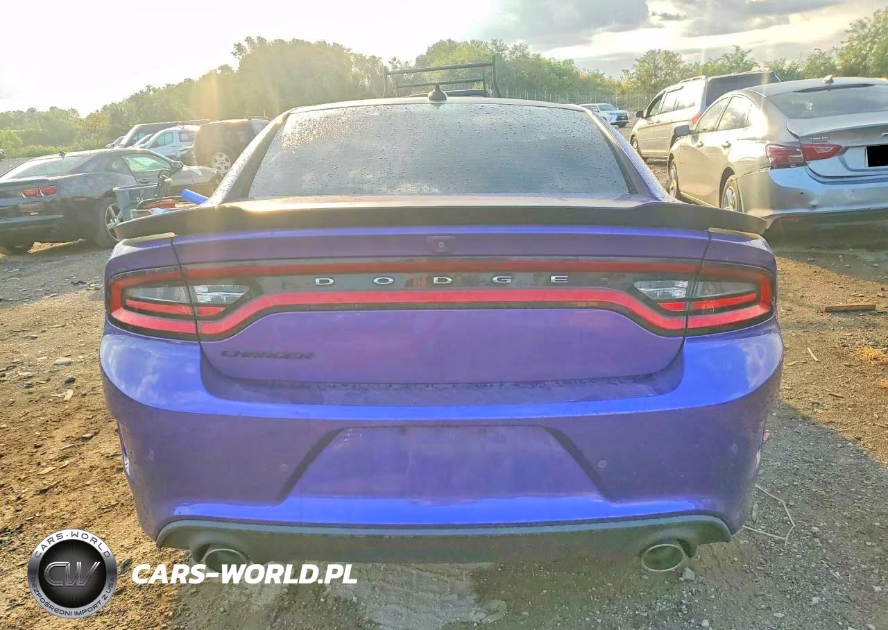 2019 Dodge Charger R-T VIN:2C3CDXCT3KH635832 - 6