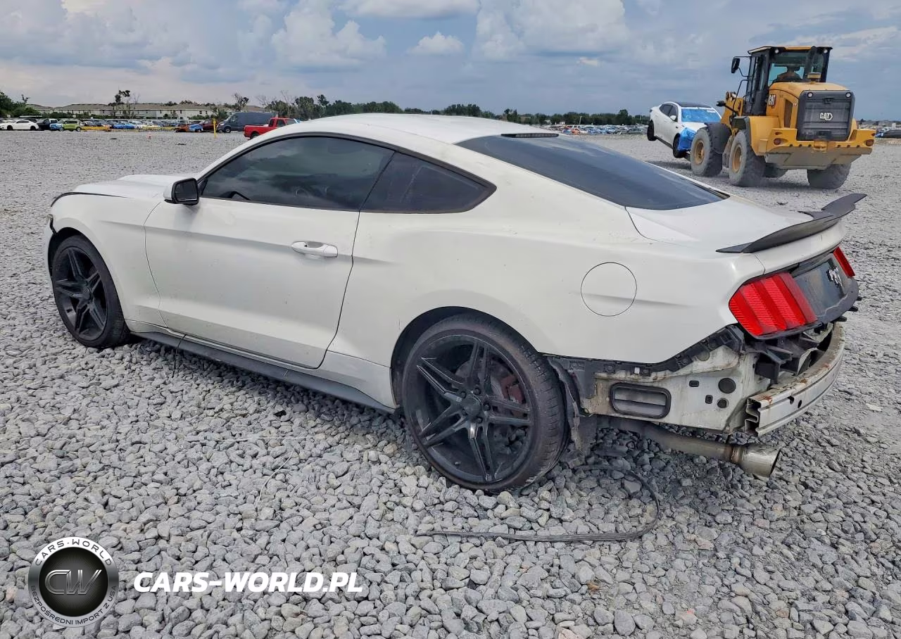 2016 Ford Mustang VIN:1FA6P8THXG5298355 - 2