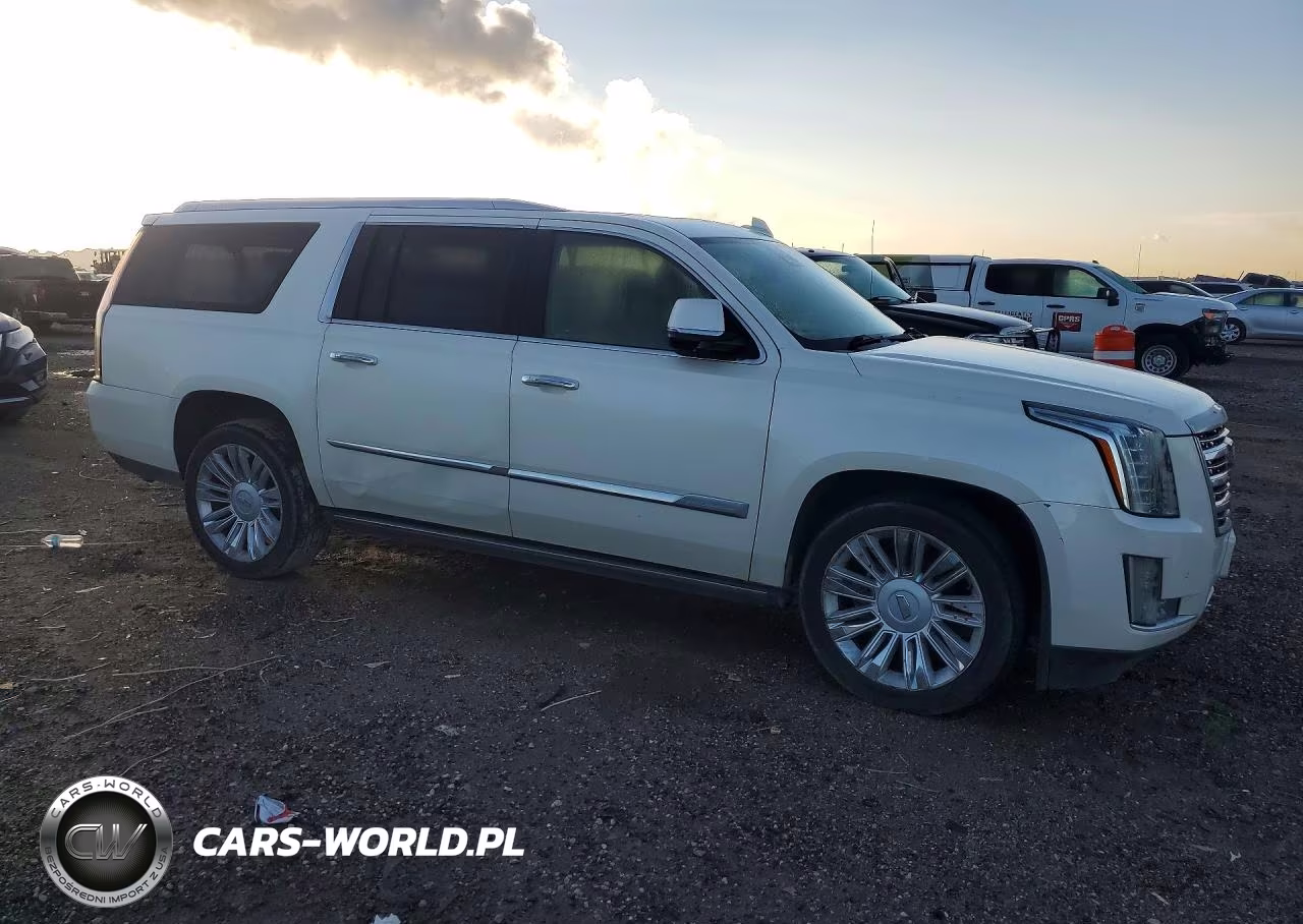 2015 Cadillac Escalade Esv Platinum VIN:1GYS4UKJXFR737991 - 4