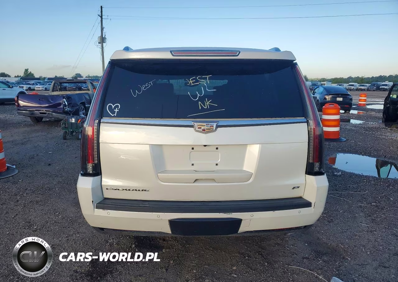 2015 Cadillac Escalade Esv Platinum VIN:1GYS4UKJXFR737991 - 6