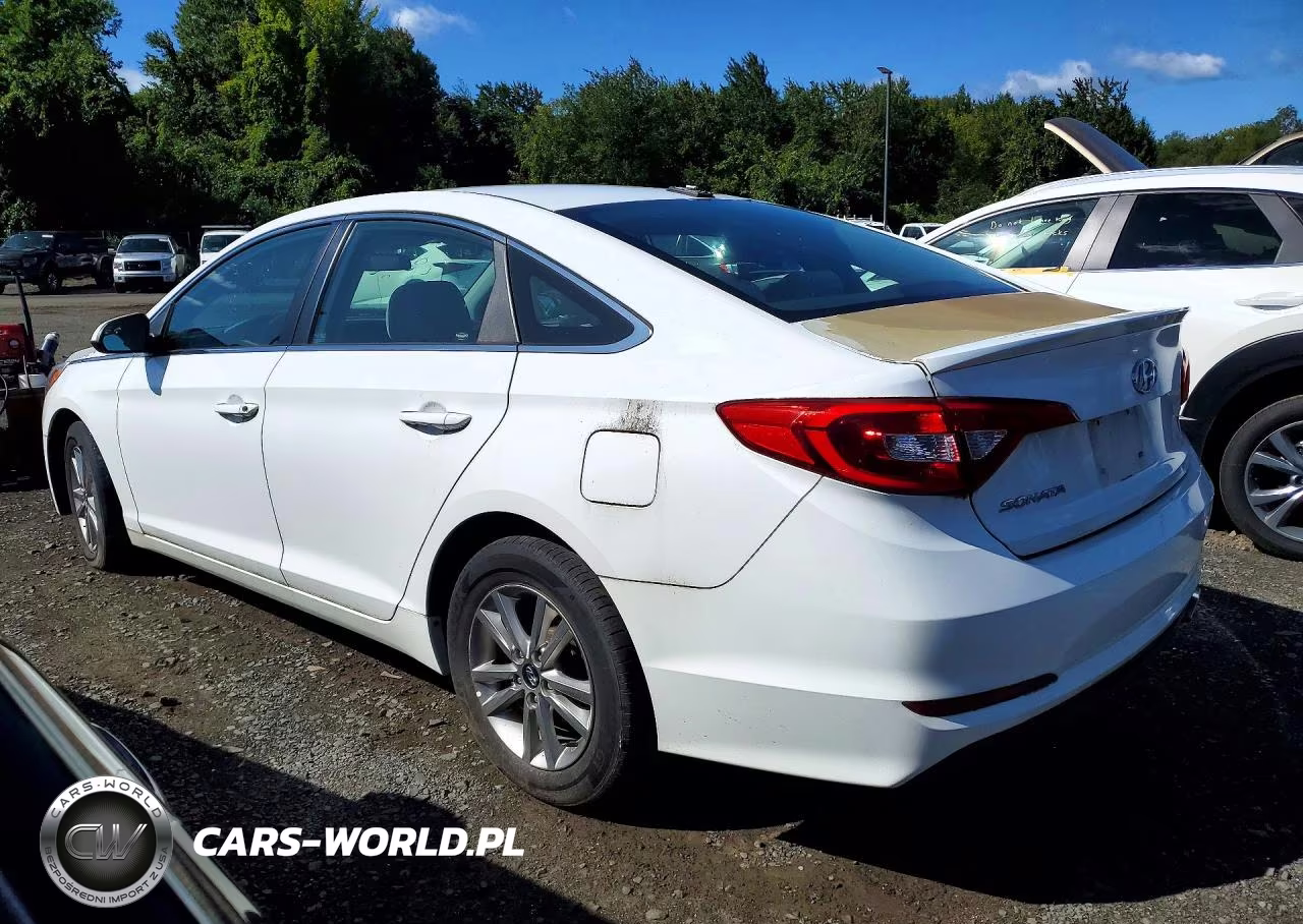 2017 Hyundai Sonata Se VIN:5NPE24AF9HH453719 - 2