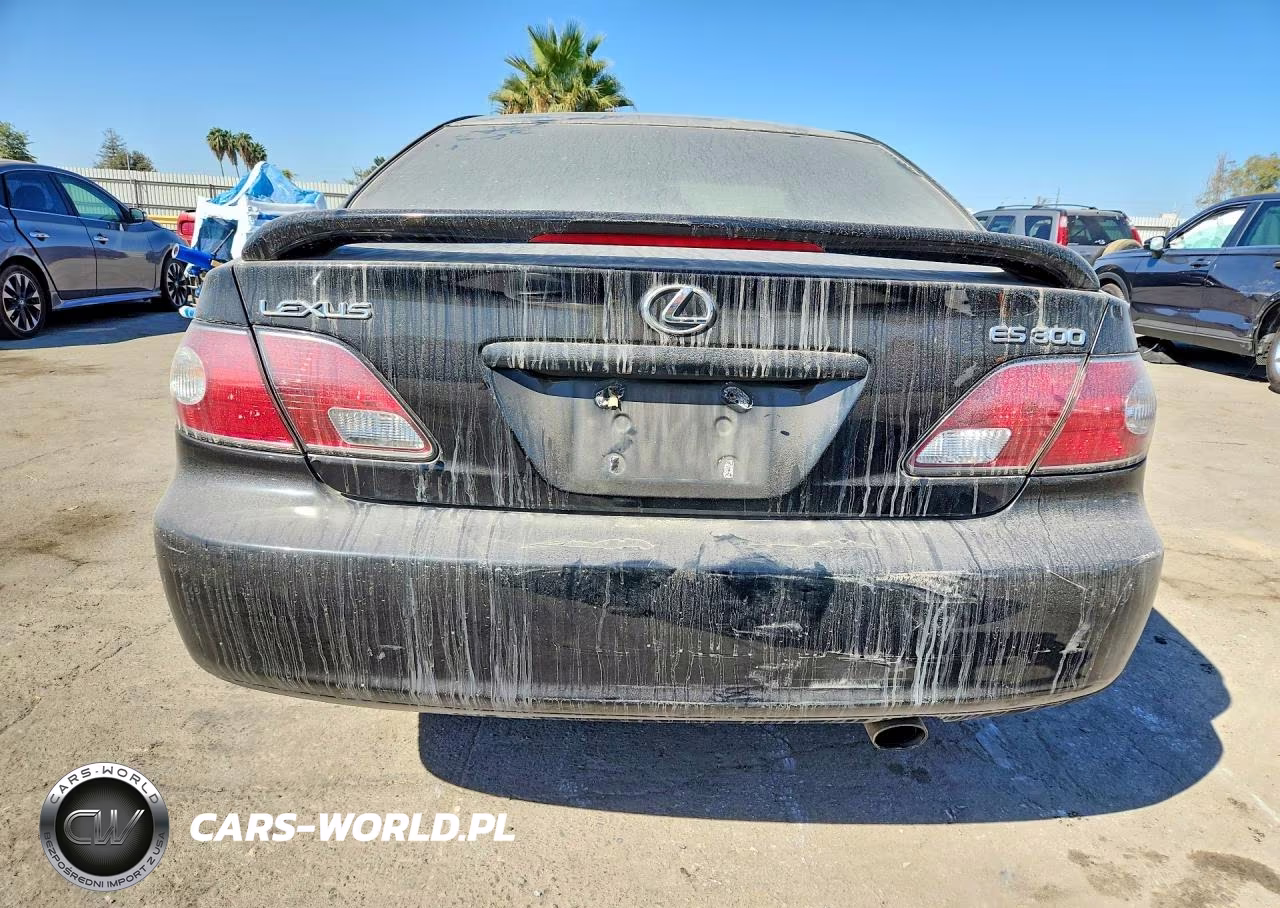 2003 Lexus Es 300 VIN:JTHBF30G136021090 - 6