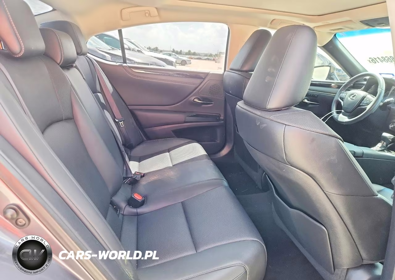 2020 Lexus Es 350 VIN:58ADZ1B19LU061335 - 10