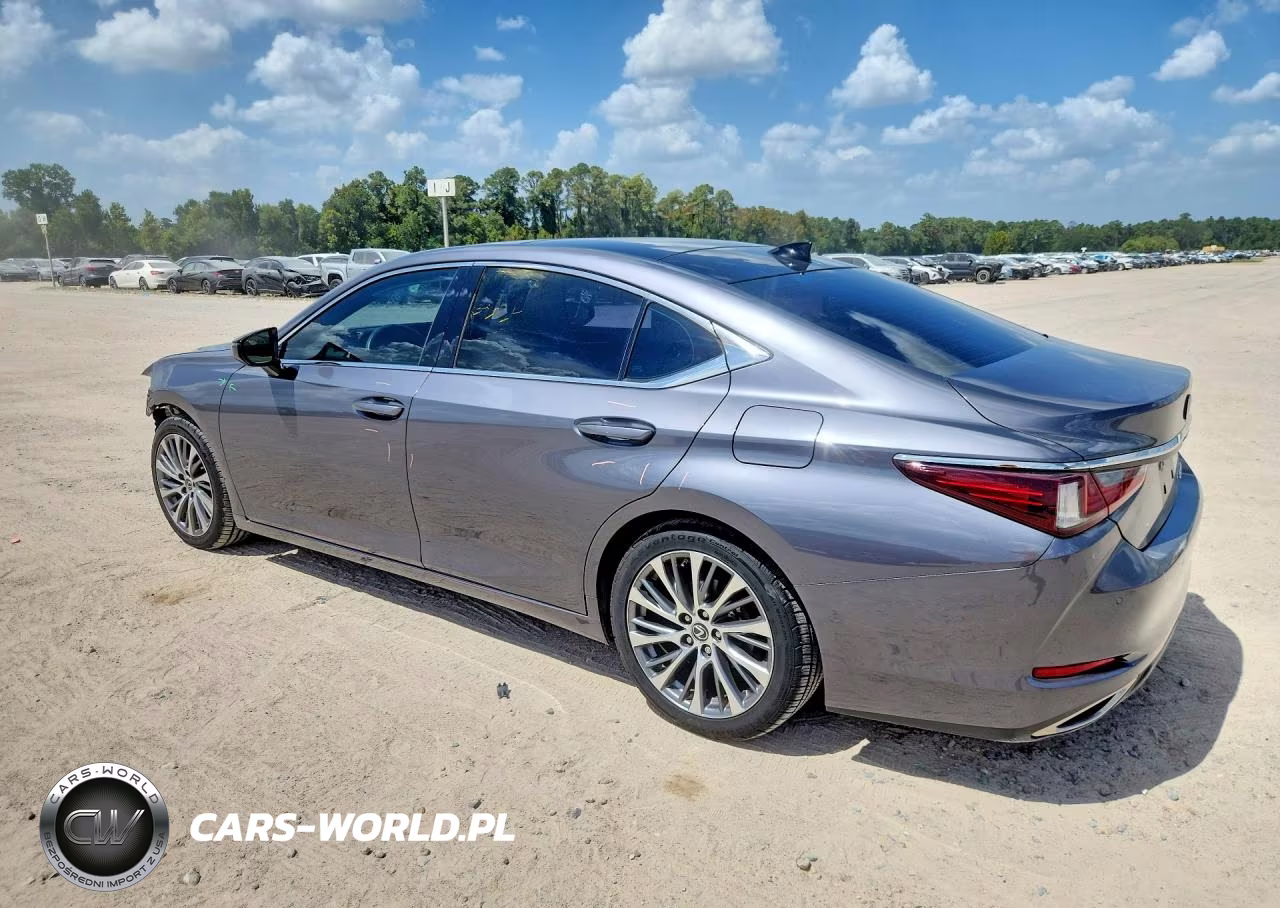 2020 Lexus Es 350 VIN:58ADZ1B19LU061335 - 2
