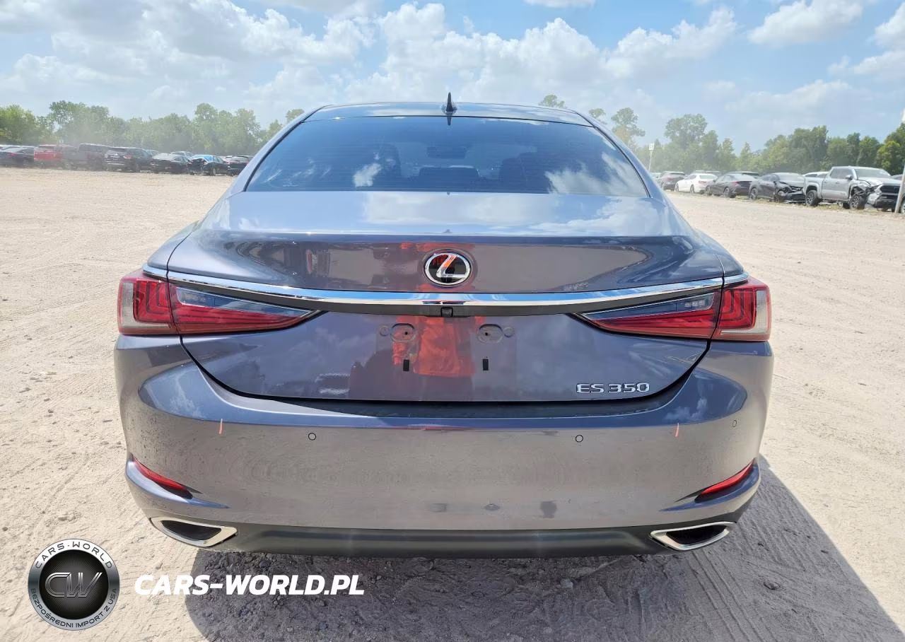 2020 Lexus Es 350 VIN:58ADZ1B19LU061335 - 6