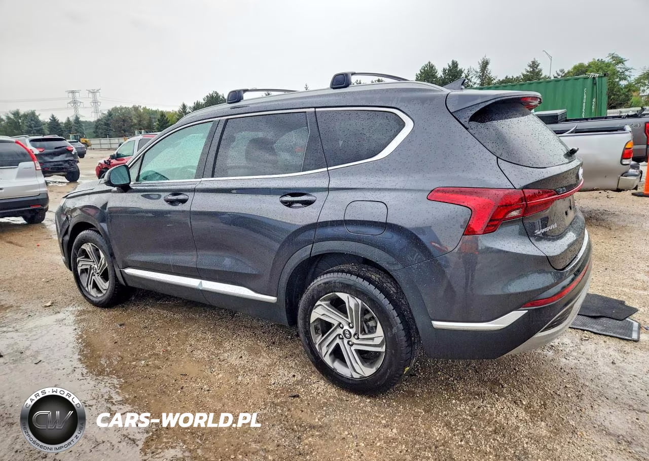 2022 Hyundai Santa Fe Sel VIN:5NMS2DAJ6NH392801 - 2