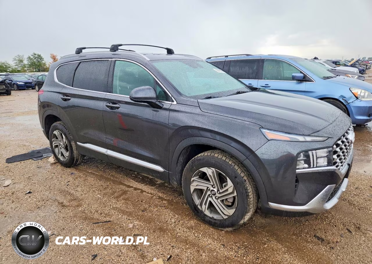 2022 Hyundai Santa Fe Sel VIN:5NMS2DAJ6NH392801 - 4