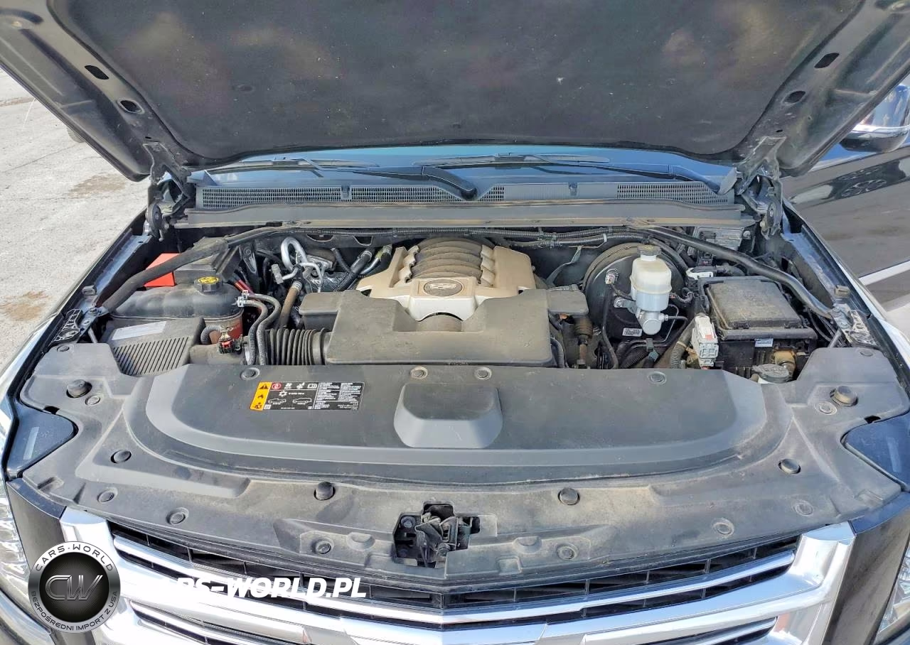 2019 Cadillac Escalade Esv Platinum VIN:1GYS4KKJXKR147093 - 12