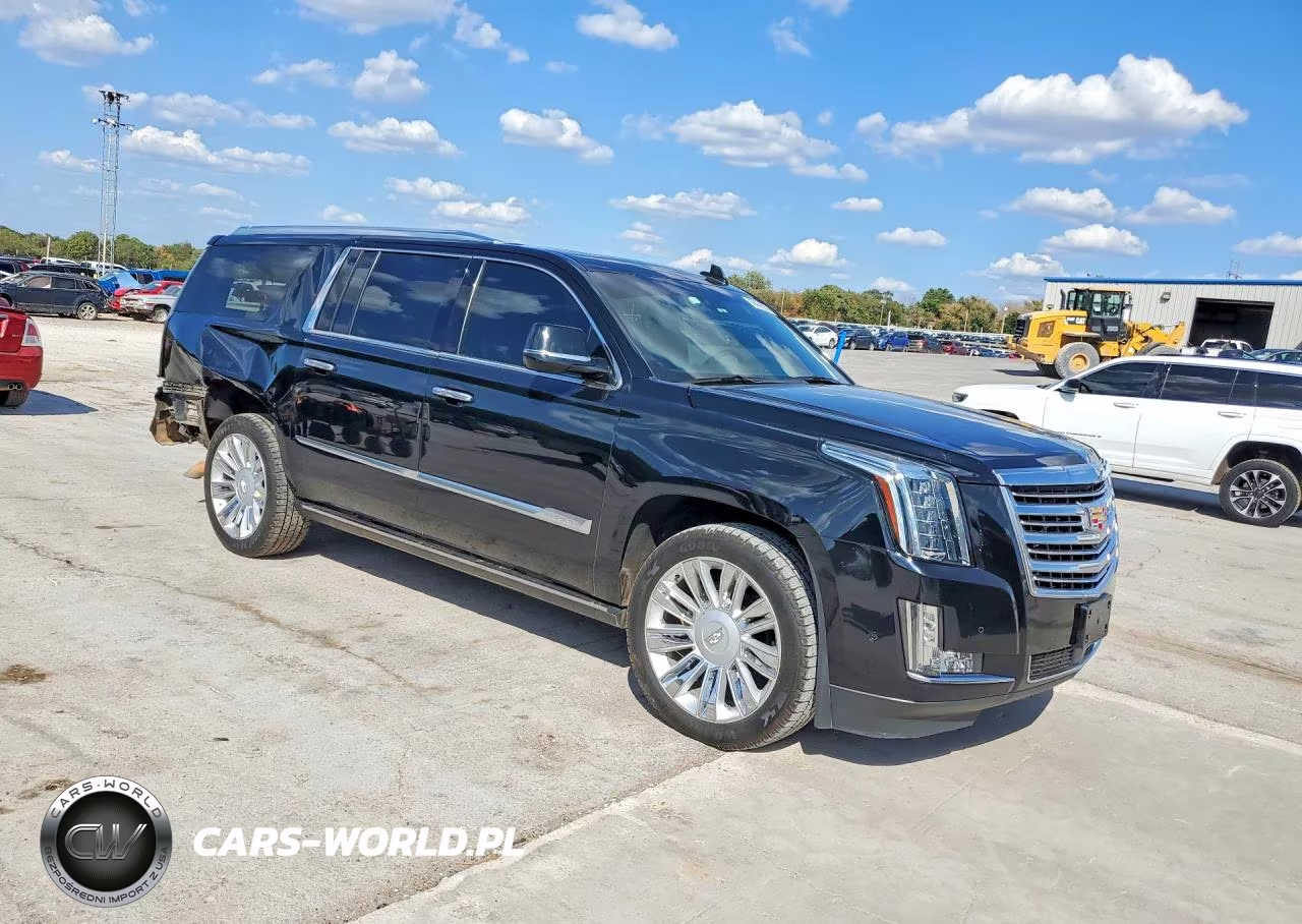2019 Cadillac Escalade Esv Platinum VIN:1GYS4KKJXKR147093 - 4