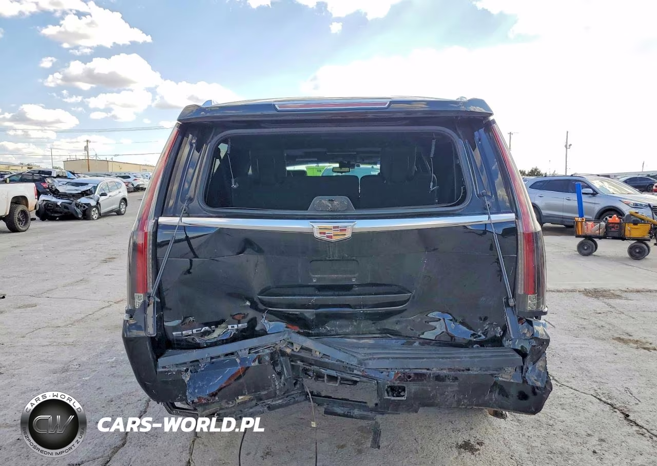 2019 Cadillac Escalade Esv Platinum VIN:1GYS4KKJXKR147093 - 6